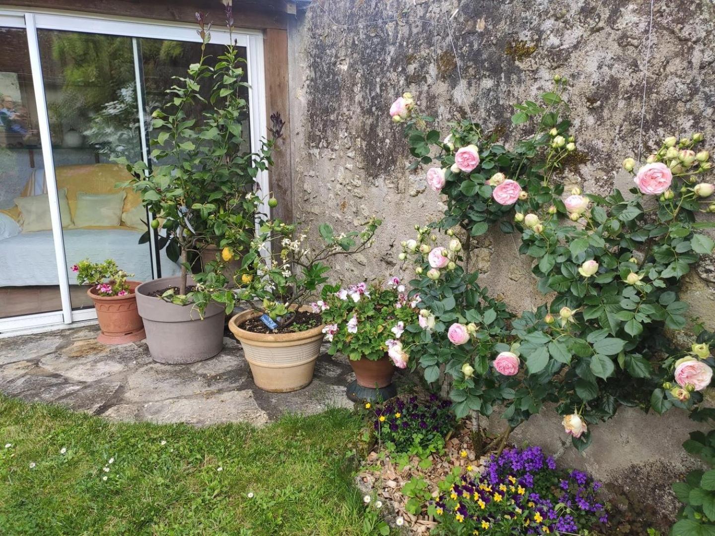 Le Relais De L'Ormeau - Charmant Gite Pour 4 Pers. Lussault-sur-Loire Zewnętrze zdjęcie