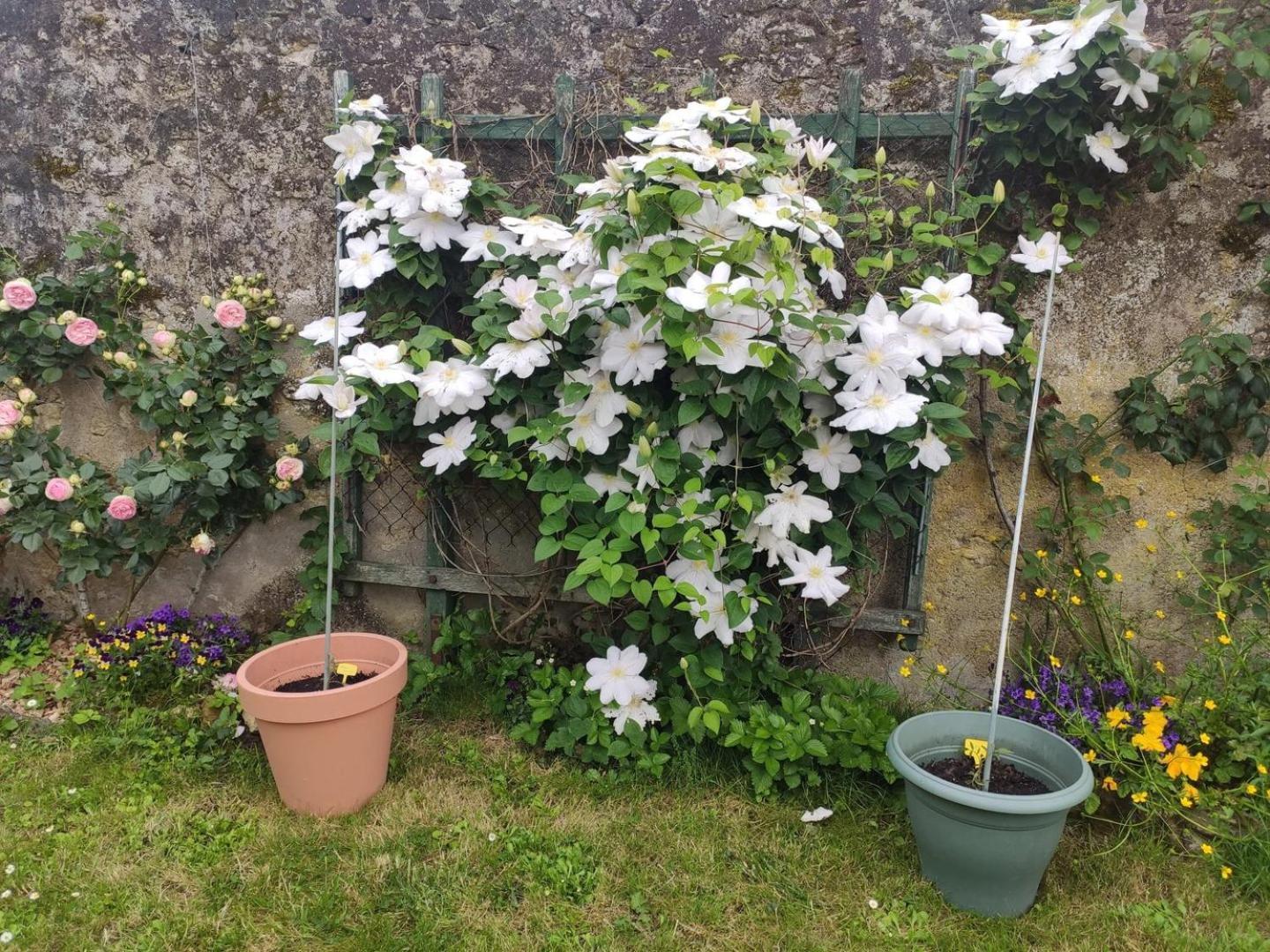 Le Relais De L'Ormeau - Charmant Gite Pour 4 Pers. Lussault-sur-Loire Zewnętrze zdjęcie